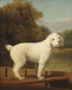 White Poodle in a Punt (George Stubbs) - Muzeo.com