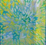 Acrapora (Charlotte Johnstone) - Muzeo.com