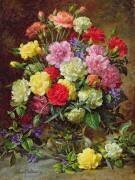 Carnations of Radiant Colours (Albert Williams) - Muzeo.com