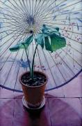 Chinese Umbrella (Simon Cook) - Muzeo.com