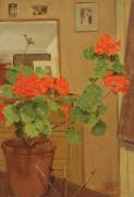 Geraniums in a Studio Corner (Albert Williams) - Muzeo.com