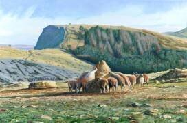 Sheep Feeding (Trevor Neal) - Muzeo.com