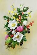 Spray of Dogrose (Albert Williams) - Muzeo.com