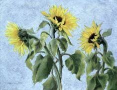 Sunflowers (Cristiana Angelini) - Muzeo.com