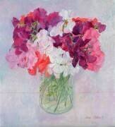 Sweet Peas (Ann Patrick) - Muzeo.com