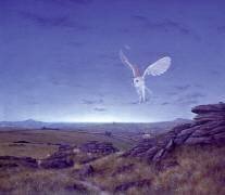 The Moors (Simon Cook) - Muzeo.com
