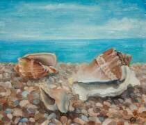 Three Shells (Cristiana Angelini) - Muzeo.com
