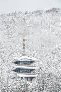 Tower of Winter (Naoya Yoshida) - Muzeo.com