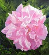 Victorian Rose (William Ireland) - Muzeo.com