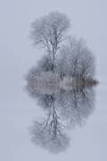 Winter stillness (Norbert Maier) - Muzeo.com