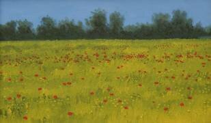 Yellow Field with Poppies (Alan Byrne) - Muzeo.com