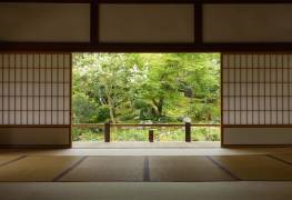 Zen Zone (Yumian Deng) - Muzeo.com