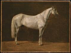 Cheval de Napoléon : 