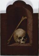 Crâne et fémur humain dans une niche (Bartholomaeus Bruyn the Elder) - Muzeo.com