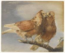 Deux pigeons sur une branche d'arbre (Marie-Thérèse Vien) - Muzeo.com