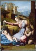 La Vierge au diadème bleu ou La Vierge au voile (Giovanni Francesco Penni) - Muzeo.com