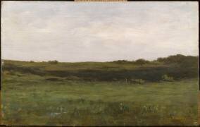 Lande (étude) (Auguste Pointelin) - Muzeo.com