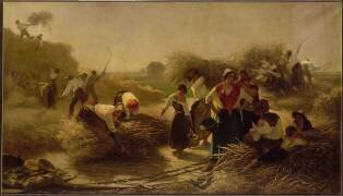 Le battage de colza dans la plaine de Lille (Edmond Herlin) - Muzeo.com