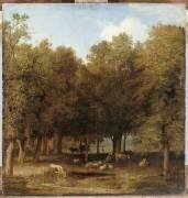 Le Bois de la Haye (Paulus Potter) - Muzeo.com