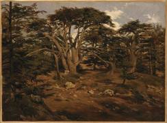 Les Vieux cèdres sur le Mont Liban (Antoine Alphonse Montfort) - Muzeo.com