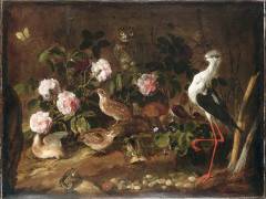 Nature-morte avec une chouette et un ibis, Vanité (Paolo Porpora) - Muzeo.com