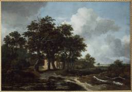 Solitude, ruines près d'une mare (Jan van Kessel) - Muzeo.com