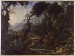 Torrent dans une forêt (Laura Bernasconi) - Muzeo.com