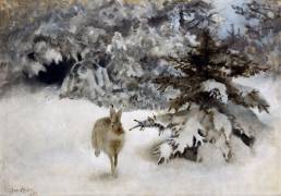 A Hare in the Snow (Bruno Liljefors) - Muzeo.com