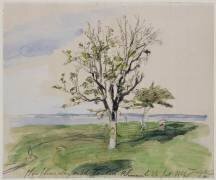 A Honfleur, jardin avec deux arbres fruitiers, au bord de la mer (Johan Barthold Jongkind) - Muzeo.com