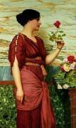 A red rose (John William Godward) - Muzeo.com