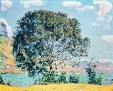 A View of Lake Brienz from Bodeli (Ferdinand Hodler) - Muzeo.com