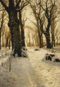 A Wooded Winter Landscape with Deer (Peter Mork Monsted) - Muzeo.com
