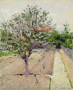 Apple Tree in Blossom (Gustave Caillebotte) - Muzeo.com