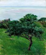 Apple Trees by the Sea at Trouville (Gustave Caillebotte) - Muzeo.com