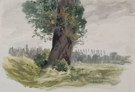 Arbre dans une prairie (Odilon Redon) - Muzeo.com