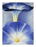 Blue Morning Glories, 1935 (Georgia O'Keeffe) - Muzeo.com