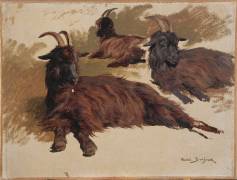 Chèvres couchées ; 3 esquisses (Rosa Bonheur) - Muzeo.com