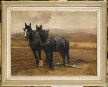 Chevaux de labour du Shropshire (Angleterre) (Gustave Neymark) - Muzeo.com