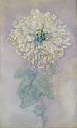 Chrysanthemum (Piet Mondrian) - Muzeo.com