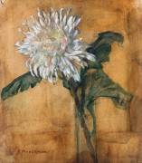 Chrysanthemum (Piet Mondrian) - Muzeo.com