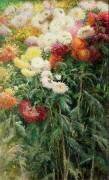 Clump of Chrysanthemums, Garden at Petit-Gennevilliers (Gustave Caillebotte) - Muzeo.com