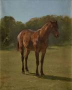 Etude de cheval bai cerise (Rosa Bonheur) - Muzeo.com