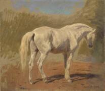 Etude de cheval blanc (Rosa Bonheur) - Muzeo.com