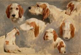 Etude de chien de chasse ; 8 esquisses (Rosa Bonheur) - Muzeo.com