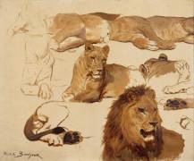 Etudes de lion et de lionne, 11 esquisses (Rosa Bonheur) - Muzeo.com