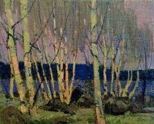 Evening, Canoe Lake (Tom Thomson) - Muzeo.com