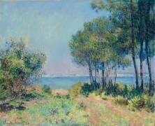 Fir Trees at Varengeville (Claude Monet) - Muzeo.com