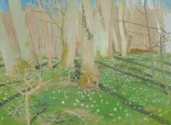 Forest with anemonies (Maurice Denis) - Muzeo.com