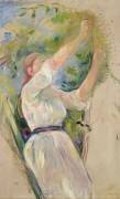 Girl gathering Cherries (Berthe Morisot) - Muzeo.com