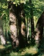 In the Forest of Fontainebleau (Auguste Renoir) - Muzeo.com